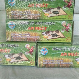 Combo 12 hộp keo dính chuột