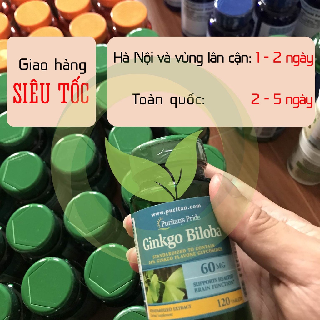 Viên uống cao bạch quả Ginkgo Biloba hoạt huyết dưỡng não tăng cường tuần hoàn não Puritan's Pride của Mỹ