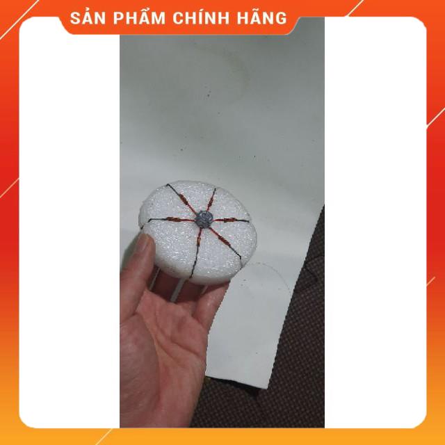 🐠 Lưỡi lục siêu nhậy 🐠