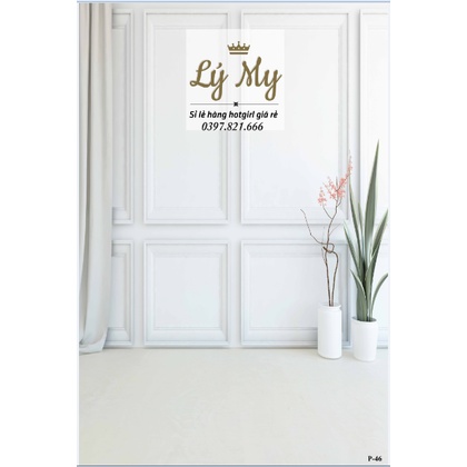 Phông Livestream Chụp Ảnh Màu Nhẹ Nhàng 3D 5D Miễn Phí Chèn Logo và Nội Dung