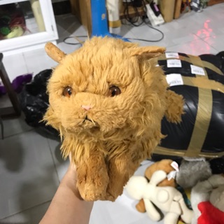 Gấu bông của Trần Mai Trinh