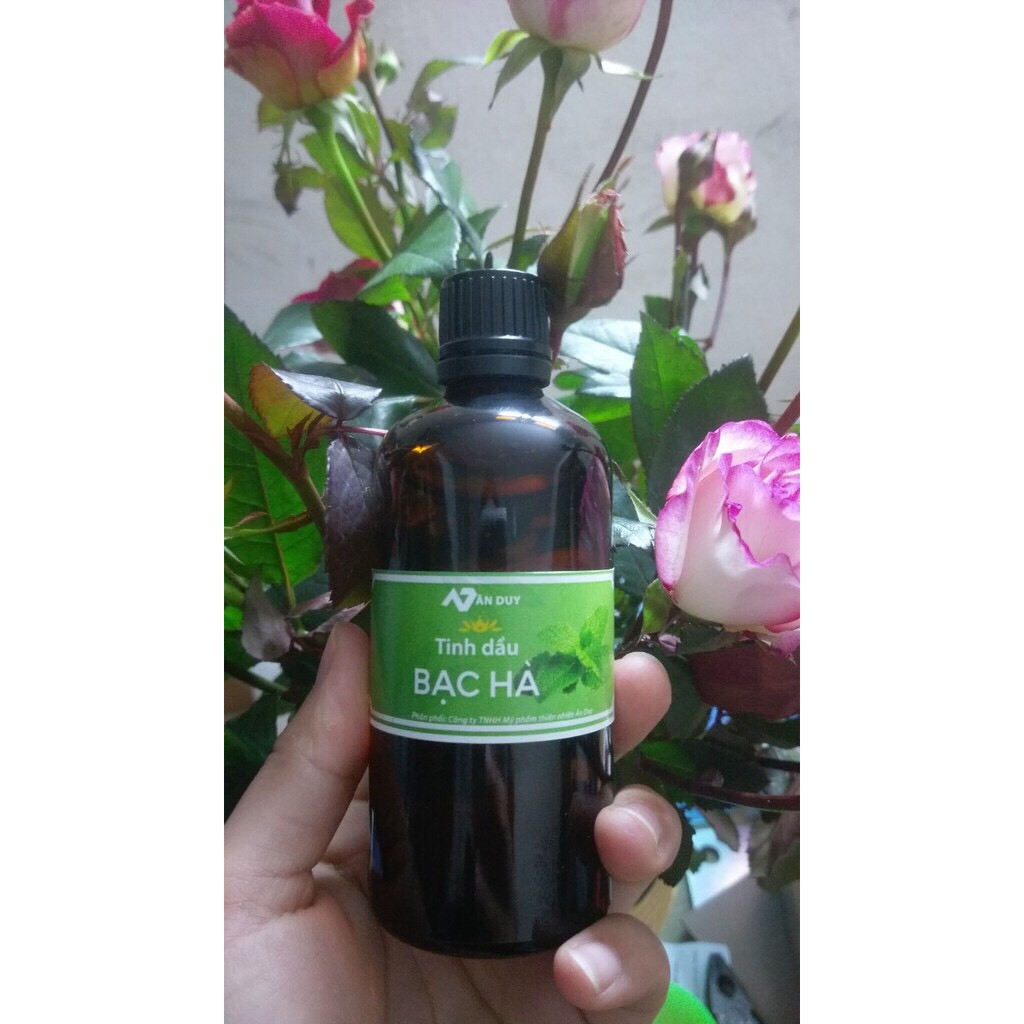 TINH DẦU BẠC HÀ 10ml - 50ml