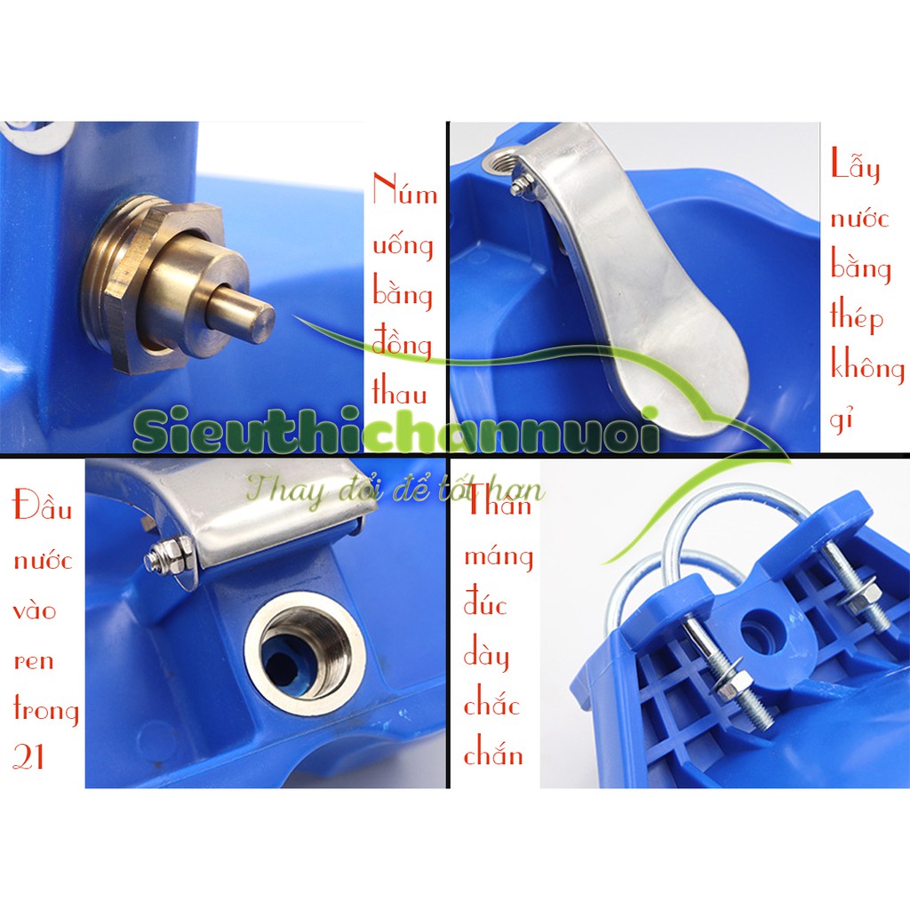 Máng uống nước tự động cho bò