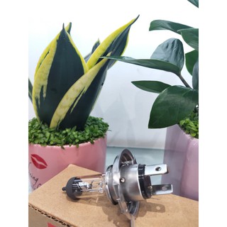 Bóng pha xe máy honda sh 125/150