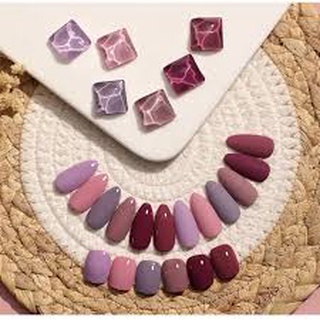 Sơn gel as cao cấp- mã DS