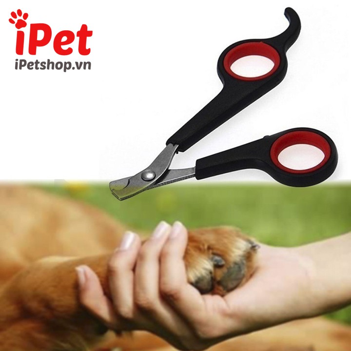 Kéo Cắt Móng Cho Thú Cưng Chó Mèo Con Size Nhỏ - iPet Shop