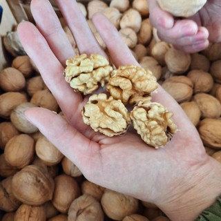 Bịch 500g Quả óc chó Mỹ nguyên vỏ mỏng
