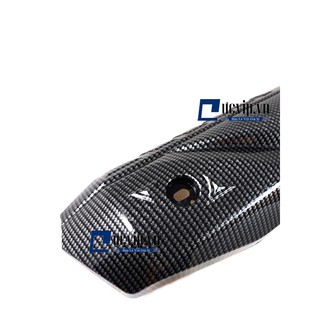 Ốp Pô Carbon Vision 2014 - 2019 MS1380