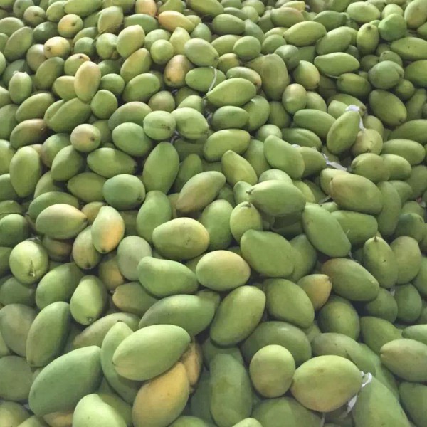 Xoài bao tử 1kg bán tại hà nội - giao hàng ifast - ifast.com.vn - cbig.vn - hệ thống tạp hóa cbig.vn