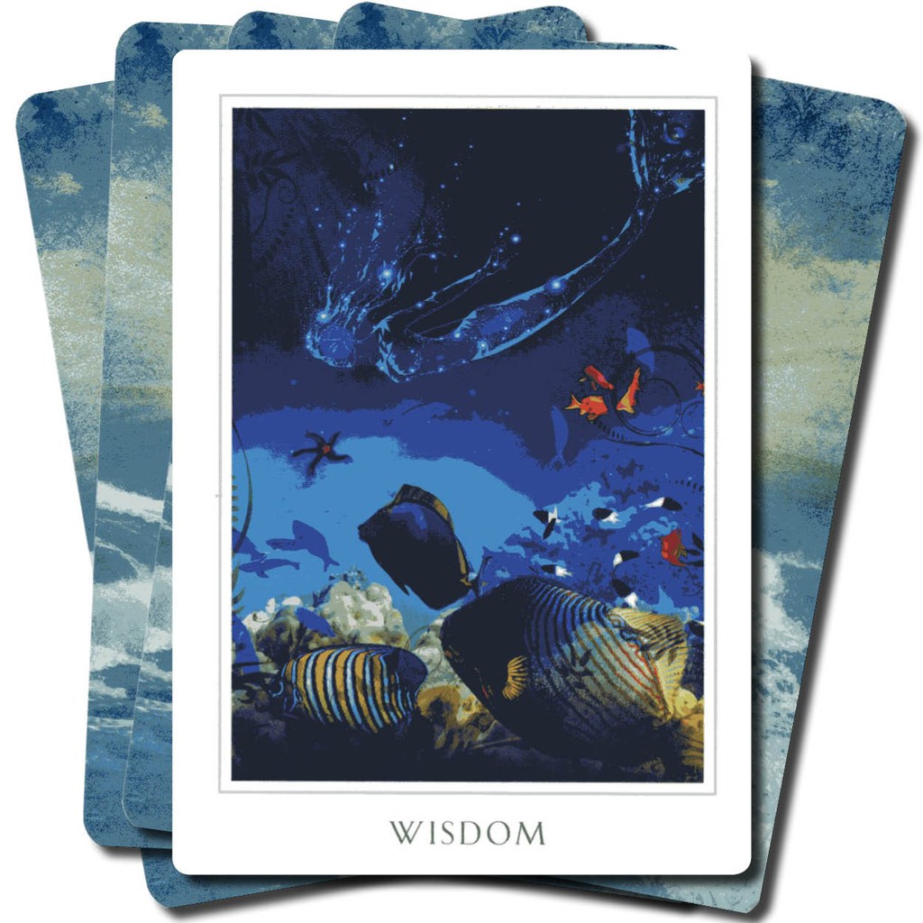 Bộ Bài Tarot Sacred Destiny Oracle V10 New Đẹp