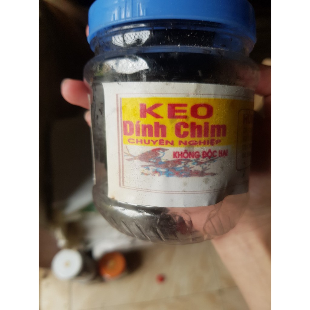 Keo bẫy chim sẻ hộp 300gr