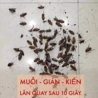 Xịt diệt gián, muỗi, côn trùng