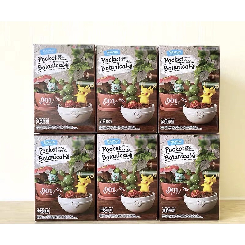 Hoa Quả Bonsai Pokemon trong chậu bỏ túi Vườn bách thảo