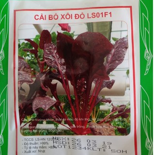Hạt giống rau cải bó xôi đỏ - 1 gói 50 hạt