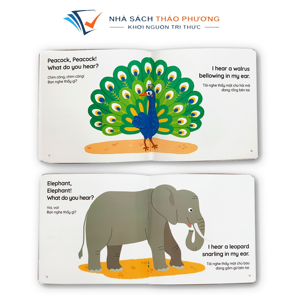 Sách - Truyện song ngữ Anh - Việt - Gấu Bắc cực, Gấu nhỏ, Gấu trúc, Gấu nâu (bộ 4 cuốn)