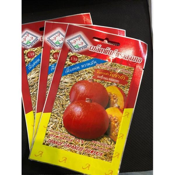 Hạt giống bí ngô mặt trời đỏ gấc nhập Thái lan nguyên gói  ~ 6 hạt (Orange Japanese Pumpkin)