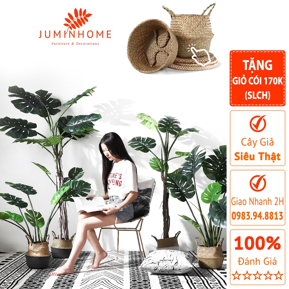 Cây Trầu Bà Lá Xẻ Monstera, Cây Lá Rùa - Cây Giả Decor Trang Trí Nhà Cửa Nội Thất Phòng...