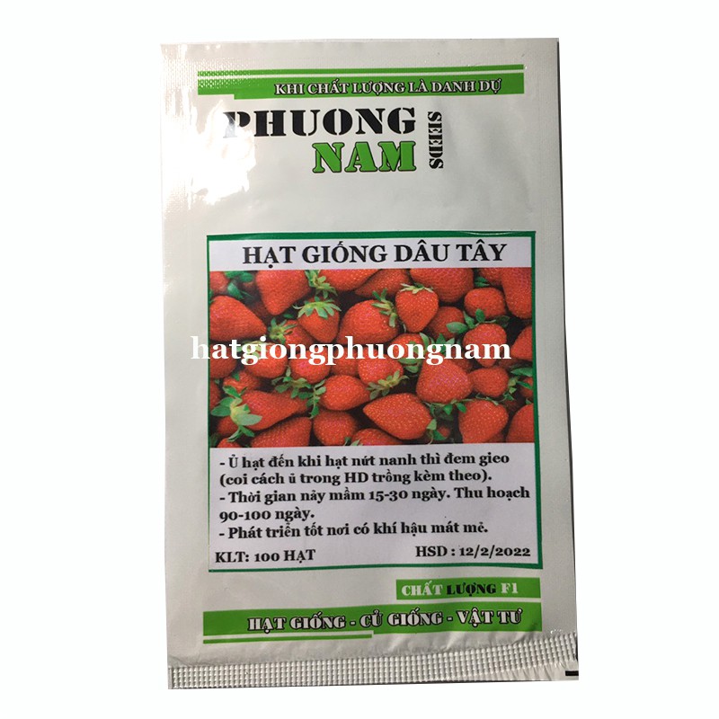  100H - HẠT GIỐNG DÂU TÂY ĐỎ