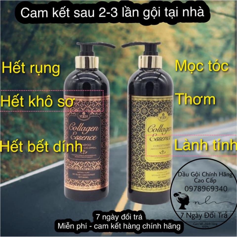RẺ VÔ ĐỊCH DẦU GỘI XẢ  YODY  COLLAGEN ESSENCE - TRỊ RỤNG TÓC- HƯƠNG NƯỚC HOA | BigBuy360 - bigbuy360.vn