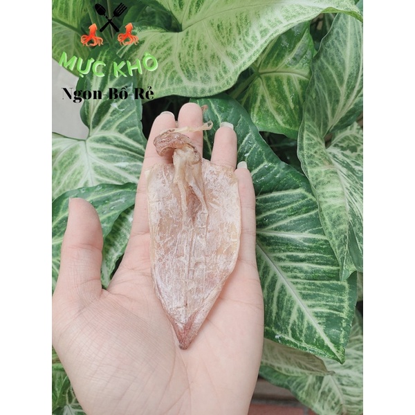 MỰC KHÔ MINI CHUẨN CÂU KHAY 20CON SIZE 90-100con/kg | BigBuy360 - bigbuy360.vn