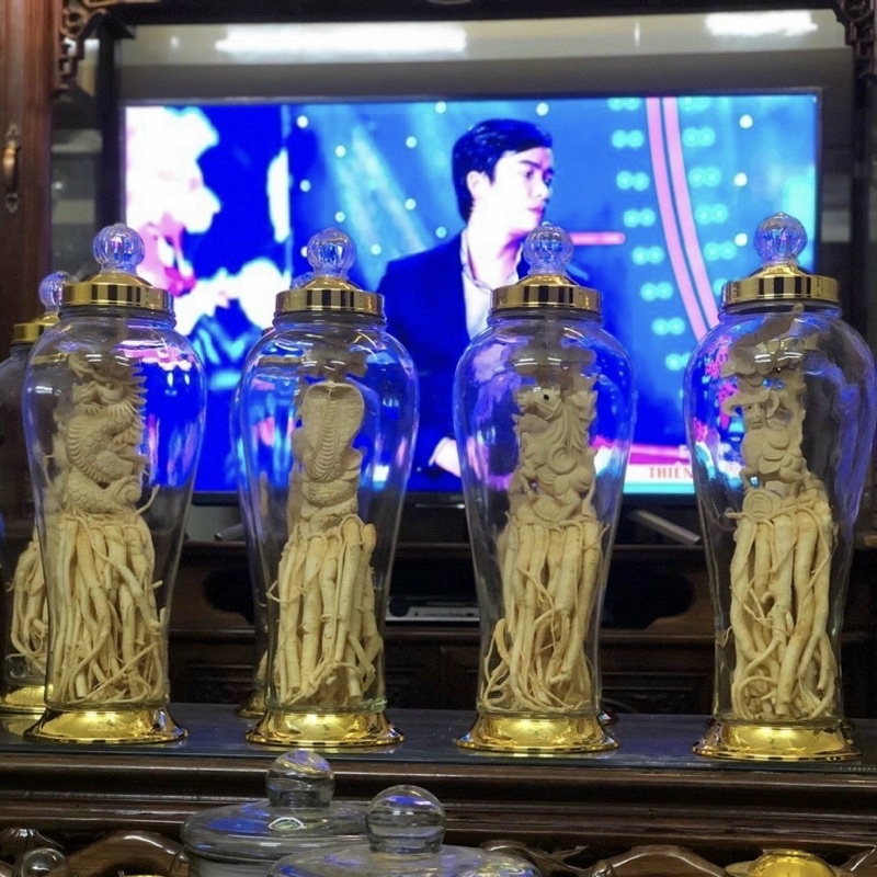 Bình Thuỷ Tinh Ngâm Rượu Sâm ... Bình 3L , 4L, 5L dáng bình eo