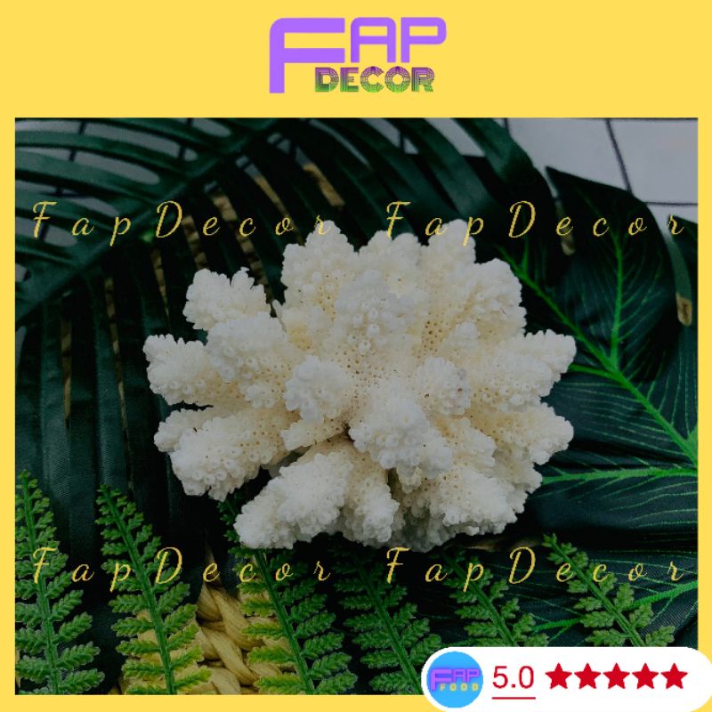 Bộng Rạn San Hô Mini Nhánh Lùn Dể Thương Trang Trí Hồ Thủy Sinh, Decor Phòng Để Bàn Làm Việc - FapFood