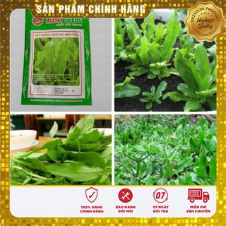 Hạt Giống Mùi Tàu(Ngò Gai) 5gr