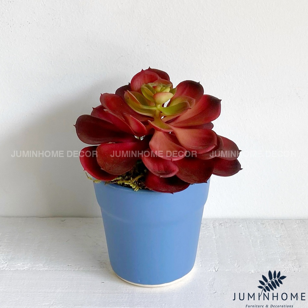 Cây giả Decor - Chậu cây mini Decor Trang trí để bàn