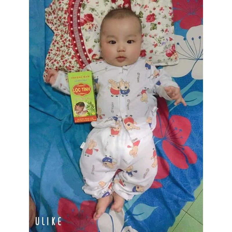 Tinh Dầu tràm nguyên chất Lộc Tình 100ml