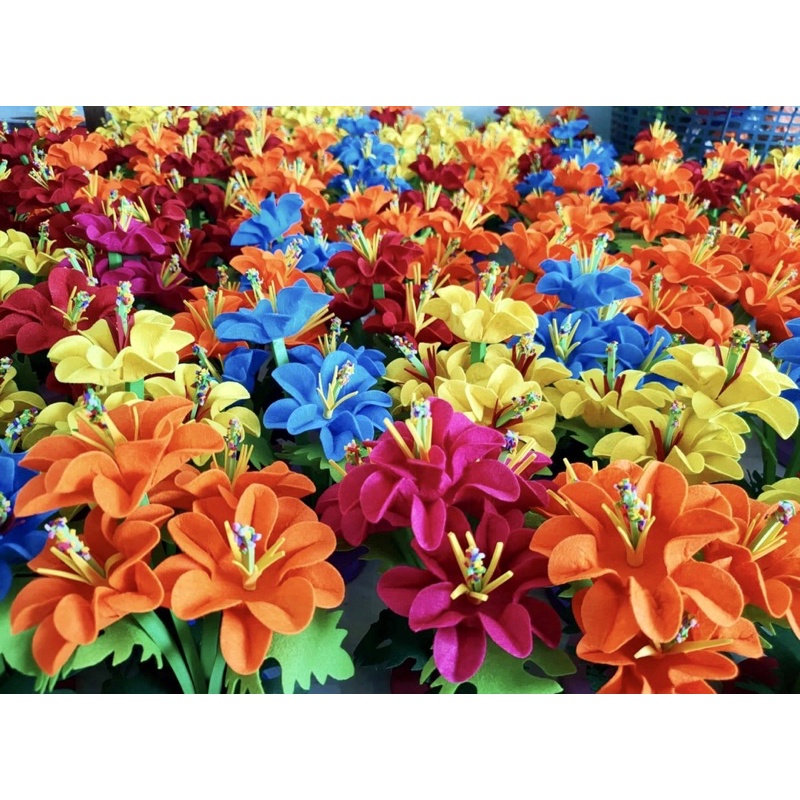 Bụi hoa/ khóm hoa nỉ mầm non