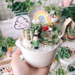 đá sỏi trắng túi 1kg