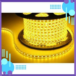 Đèn LED Dây 5050 Đơn Sắc: Trắng; Vàng;Nhiều Màu