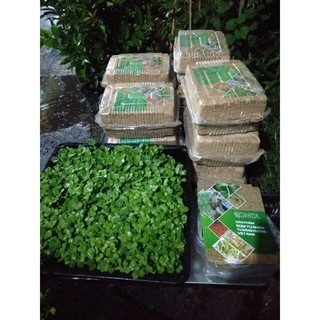 1KG - GIÁ THỂ RƠM TỰ NHIÊN TRỒNG RAU MẦM