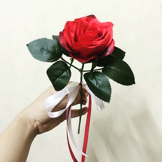 Hoa Hồng Đơn Kèm Nơ