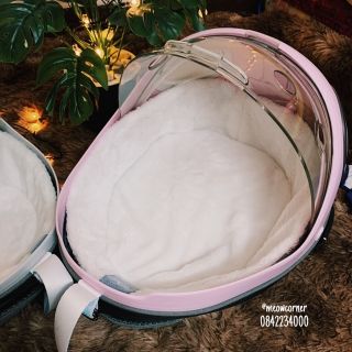 Balo phi hành gia bọ rùa loại 1
