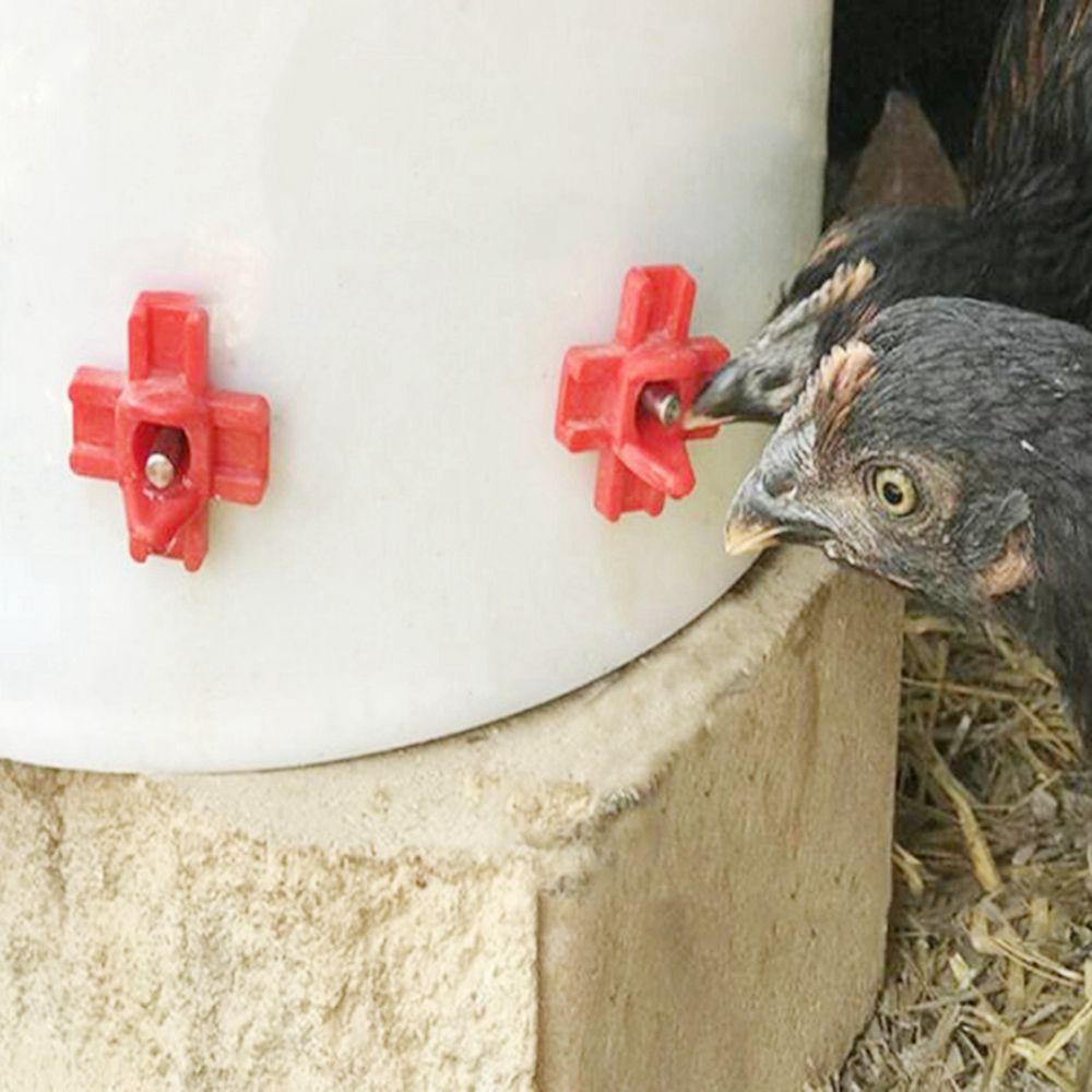 Vòi Uống Nước Tự Động Xoay 360 Độ Cho Chim Cảnh Tiện Dụng