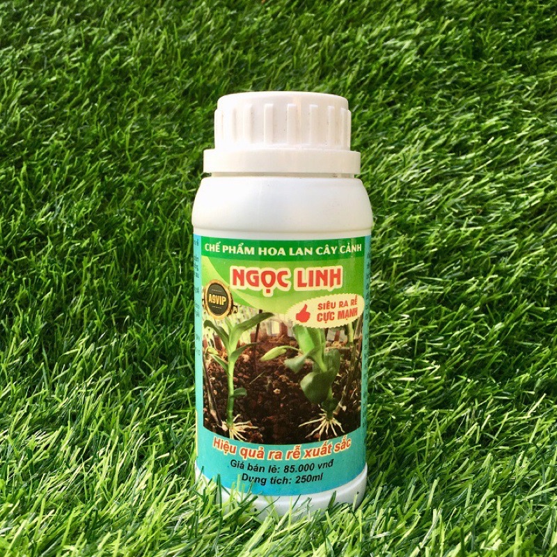 Chế phẩm hoa lan cây cảnh NGỌC LINH Siêu ra rễ cực mạnh A9 vip ngọc linh