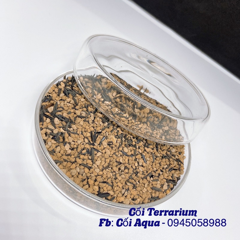 { Terrarium Soil } 300g Đất trồng Terrarium đầy đủ các thành phần