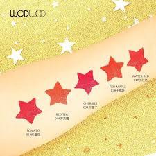 SON MẪU MỚI_WODWOD STAR HOLLOW LIPSTICK