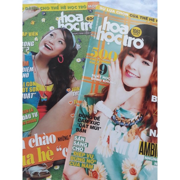 Hoa học trò 804 1061