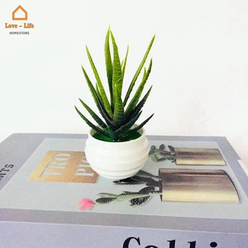 Chậu cây bonsai giả bằng nhựa trang trí bàn làm việc