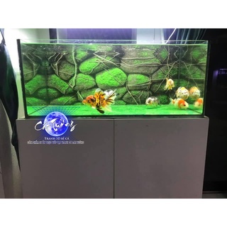 tranh 3d. tranh dán bể cá thủy sinh, bể cá rồng (tranh lưng)