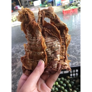măng nứa rừng
