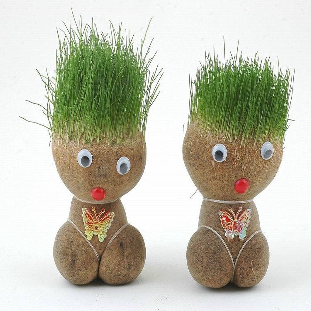 Búp Bê Đầu Cỏ Mọc Tóc Mini Dễ Thương Trồng Cây Cỏ Trang Trí Phòng Học Bàn Làm Việc, Dùng Làm Quà Tặng