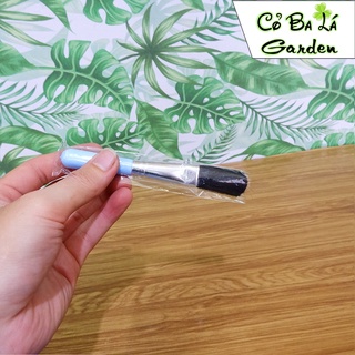 bộ dụng cụ chăm sóc sen đá,cây mini