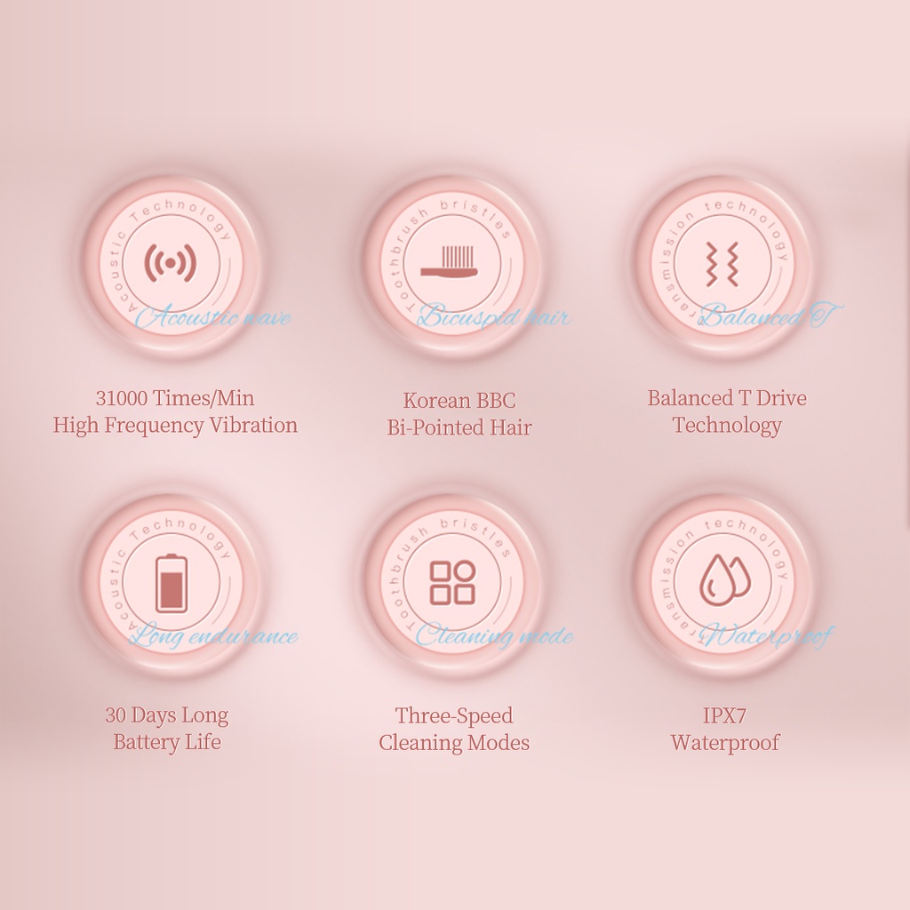 Xiaomi Youpin Bàn Chải Đánh Răng Điện Tần Số Rung Cao Echen Sonic T501 31000 Times/Min