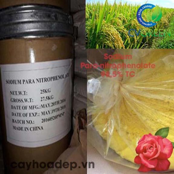 Sodium Para-nitrophenolate 99% TC  tan trong nước, gói 100gram