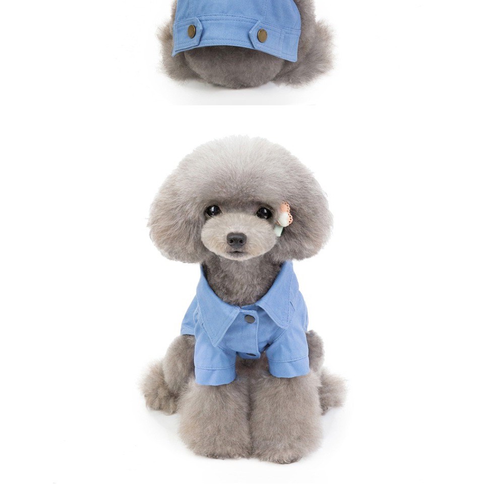 Áo Classic cho chó