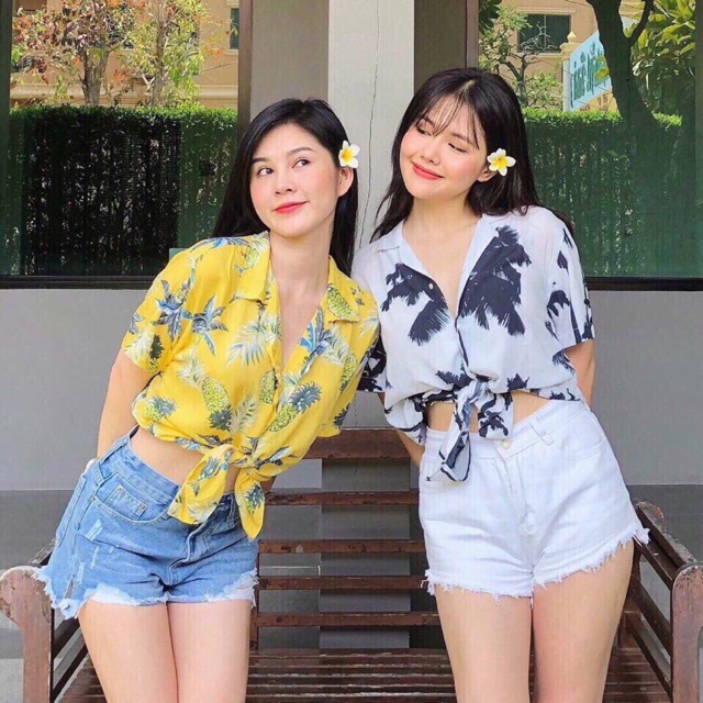Sơ mi cây dừa