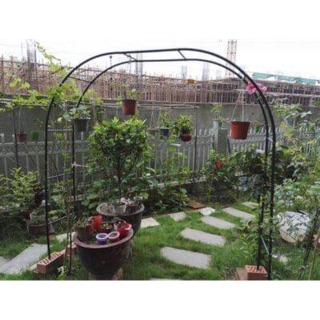 Khung vòm leo hoa hồng cao 2m rộng 185cm